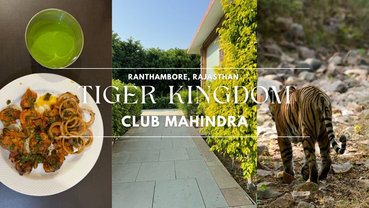 Tiger Kingdom Ranthambore | Club Mahindra Ranthambore | Complete Resort Tour