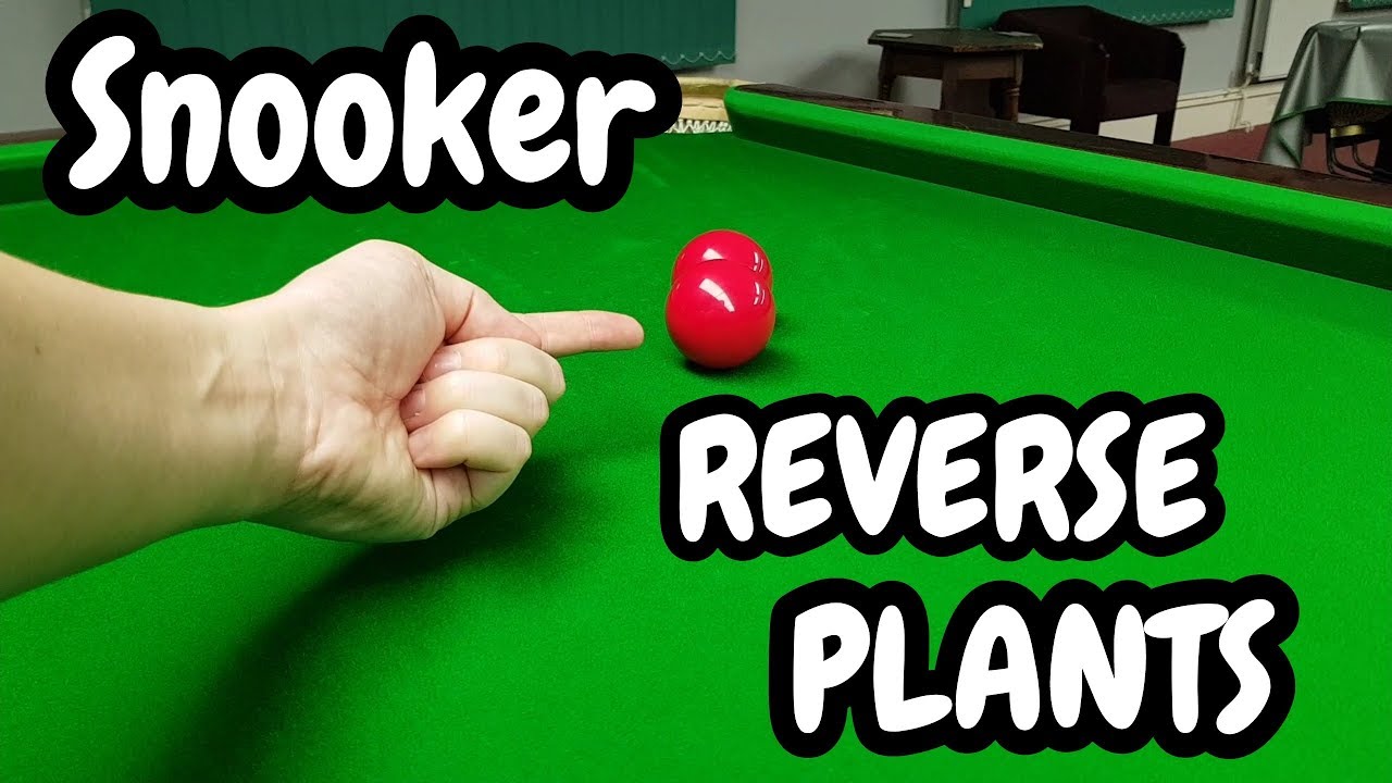 Snooker PLANTS and REVERSE PLANTS