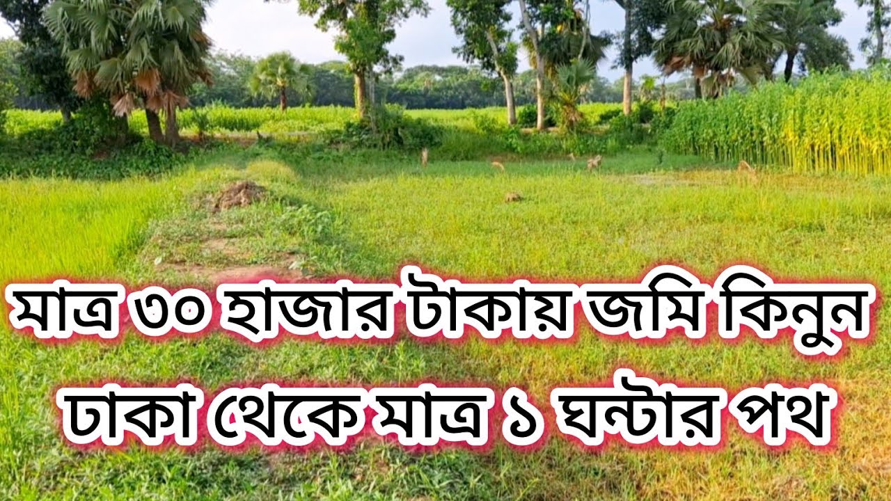 মাত্র ৩০ হাজার টাকায় জমি কিনুন ঢাকা থেকে মাত্র ১ ঘন্টার পথ