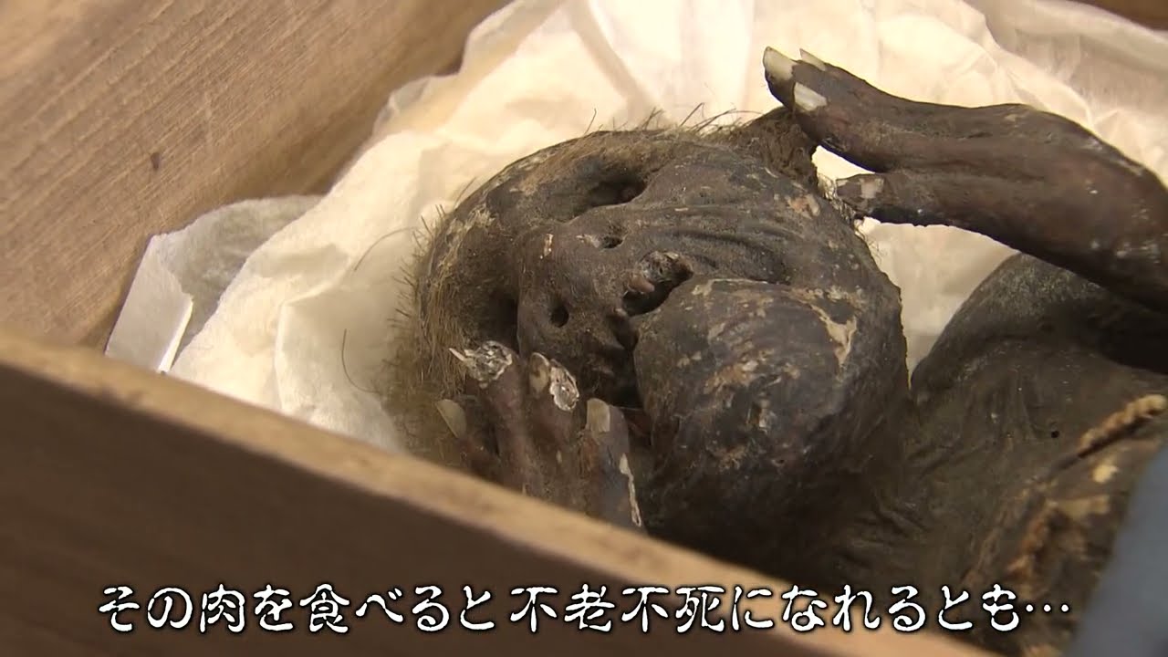 「人魚のミイラ？！」寺に眠る秘宝は本物か 伝説に科学でアプローチ【岡山・浅口市】