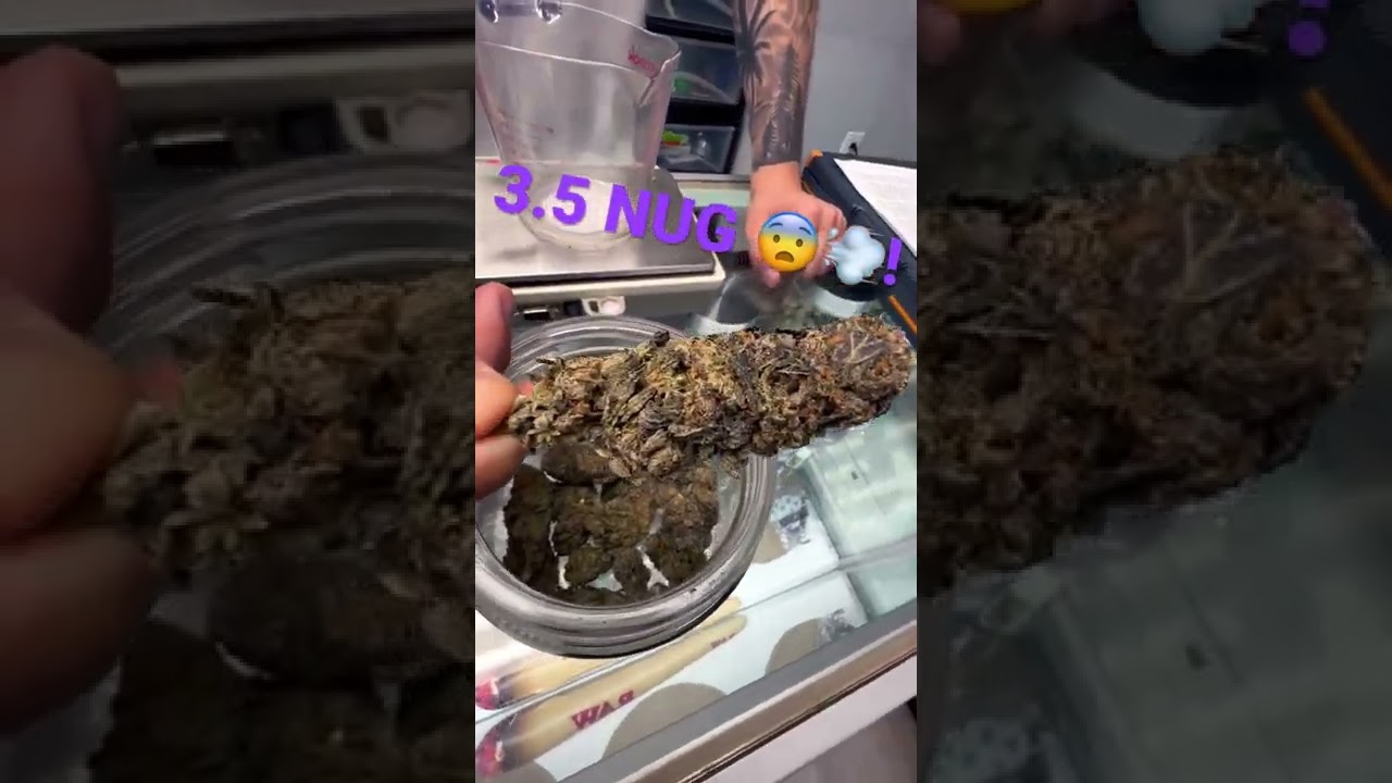 3.5 GRAM NUG !! (RUNTZ) 🍃💨 #weedtube