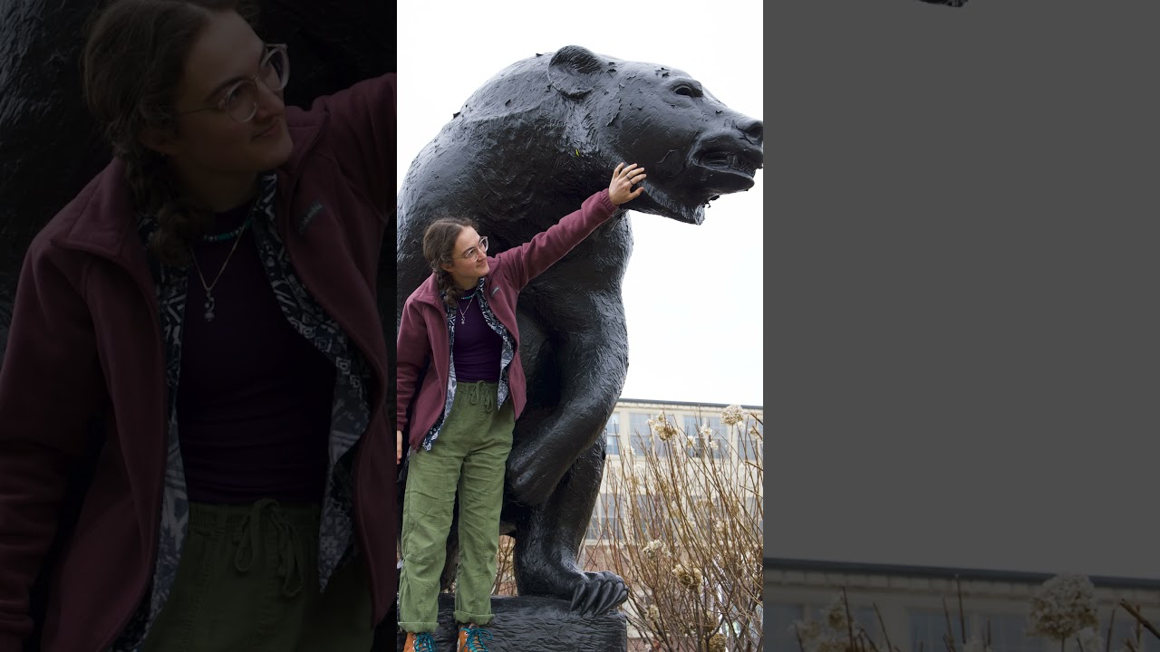 The UMaine Bucket List #1 - Photo With a Bear | #umaine