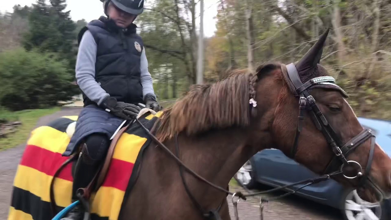 Vi är tillbaka ! Min nya ponny