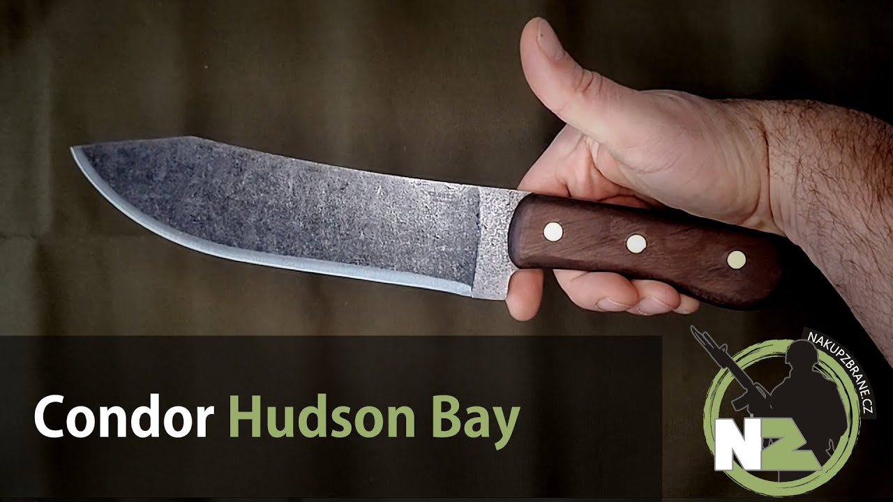 Condor Hudson Bay