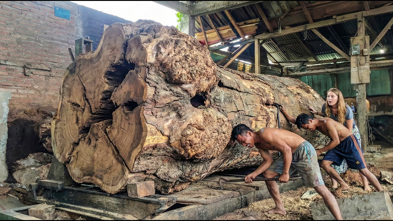 Industrial Wood Processing Using Advanced Sawmill Machines