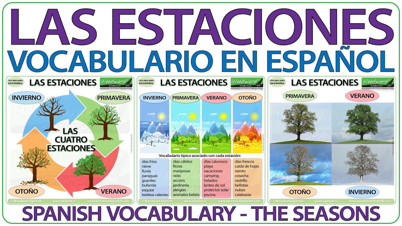 Las estaciones del año en español - Vocabulario - Spanish Seasons Vocabulary