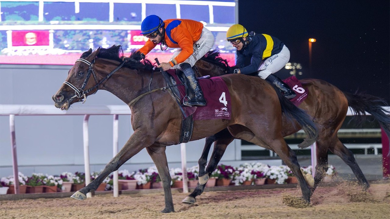 RM 49  Al Rayyan Race 8 -  H.H. The Amir Sword Festival - Day 2