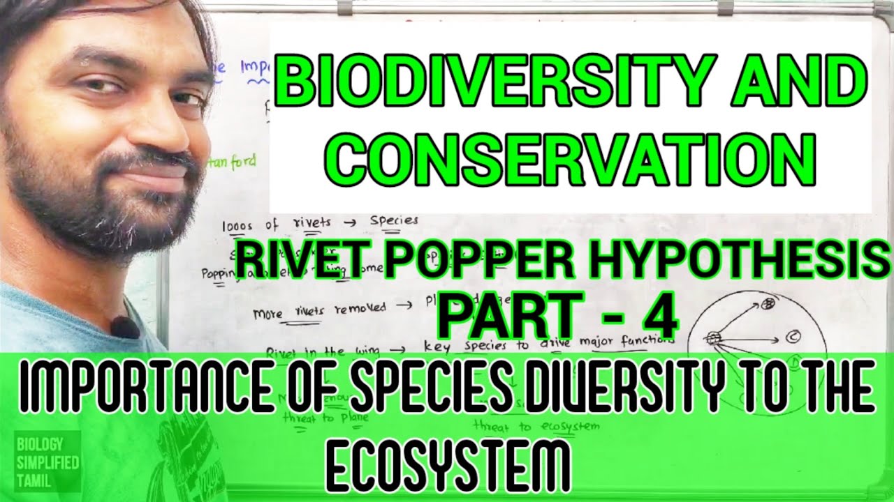 Biodiversity and Conservation | Part 4 | Rivet popper hypothesis