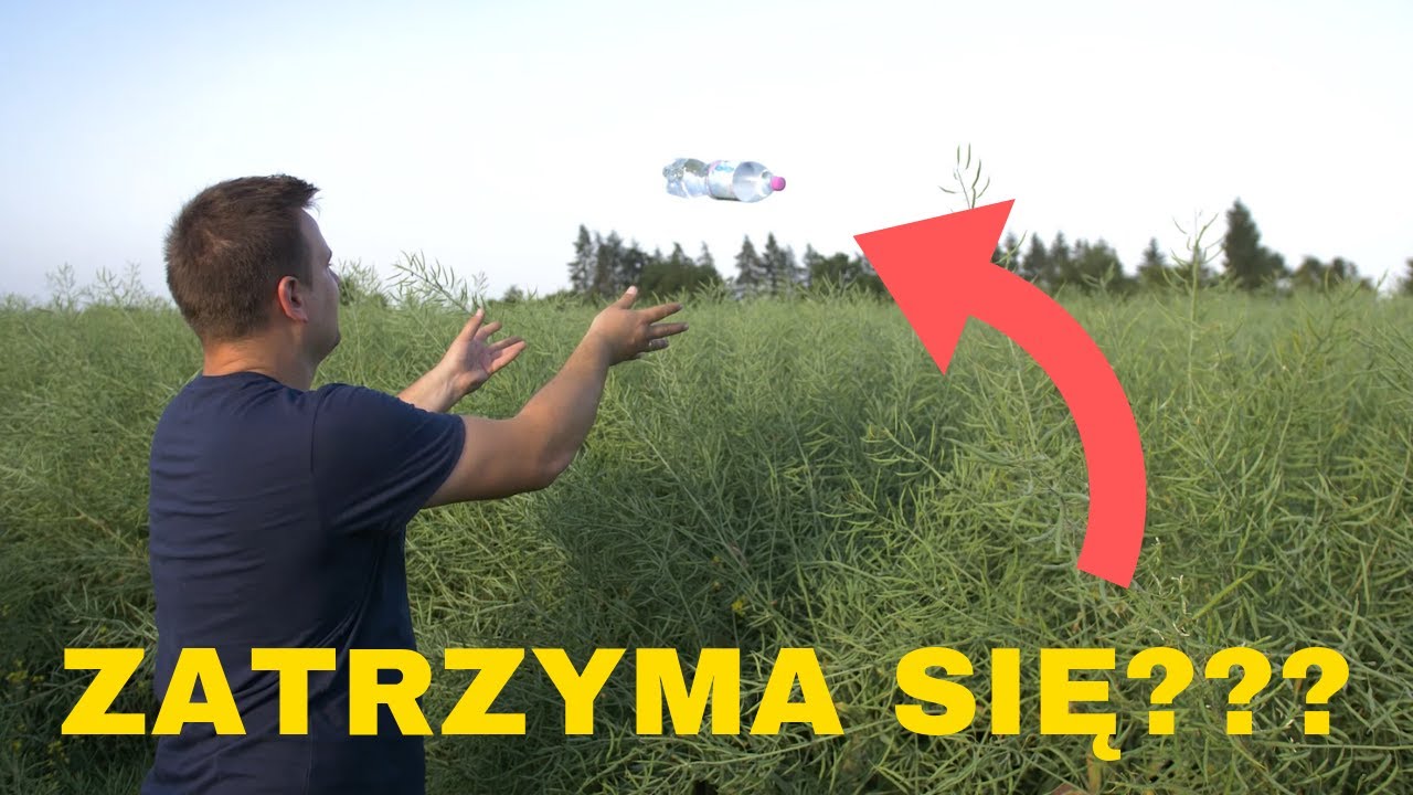 RZEPAK DALEJ NA 5 TON? MDW 527 W RYZACH PRZED ŻNIWAMI