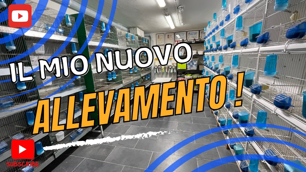 Vi presento il mio nuovo allevamento!