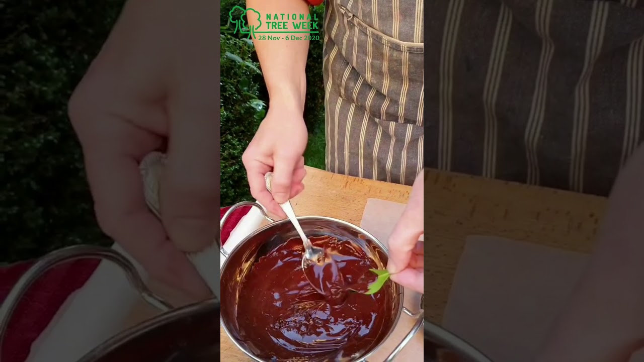 Tree-inspired baking with Rowan Williams for National Tree Week
