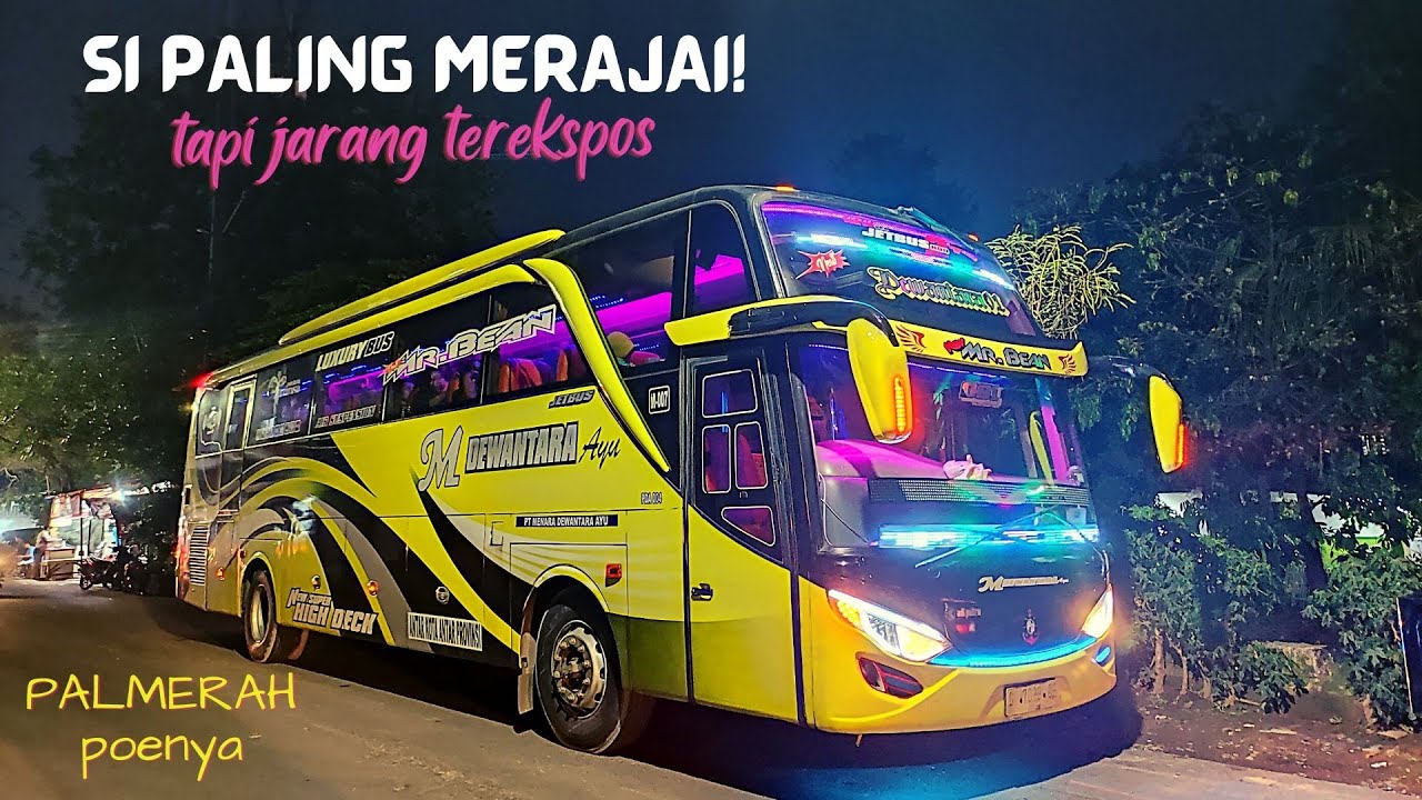 #HUNTINGBIS | AGEN BIS YANG JARANG TEREKSPOS! | TAPI RAMENE PUOOOLLL!