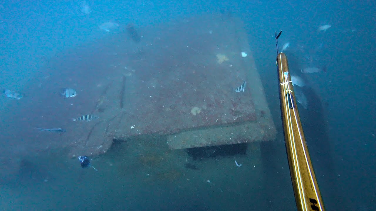 Spearfishing SHIPWRECK with NEW TROLLING MOTOR on the PANGA!