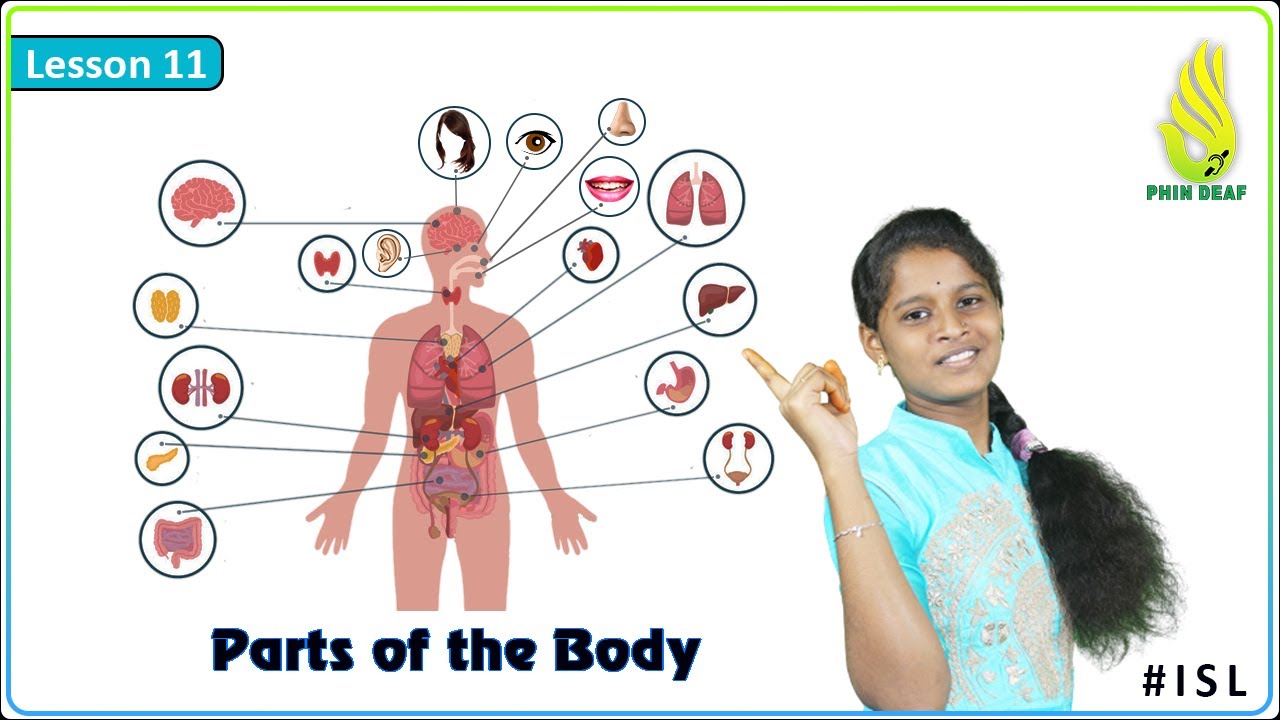 Lesson 11 - Parts Of The Body in Indian Sign Language | ISL By PHIN Deaf
