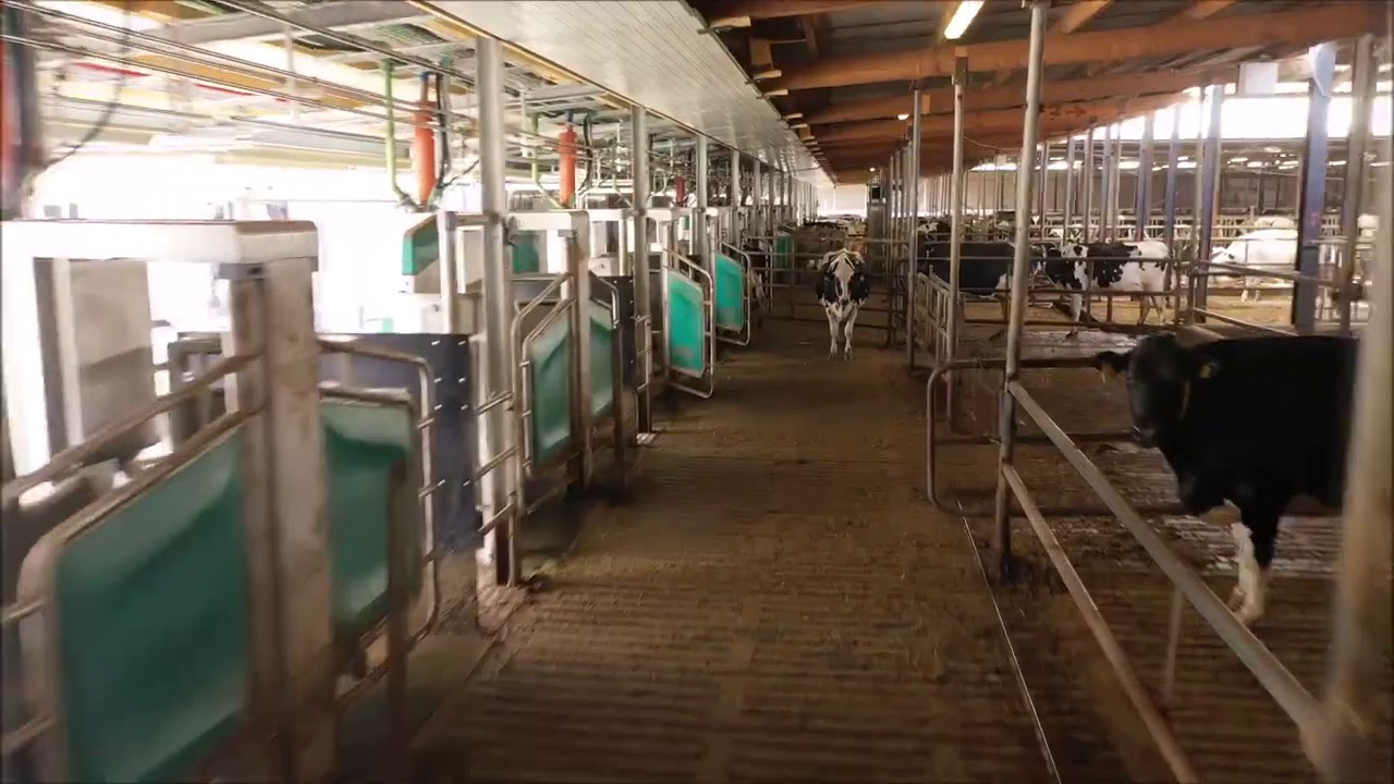 GEA DairyRobot R9500