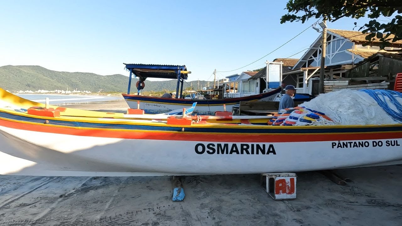 INICIO SAFRA DA TAINHA 2025 - Praia do Pântano do Sul