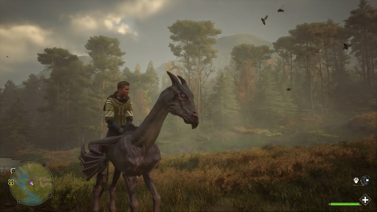 Unlocking Dark Thestral Mount Hogwarts Legacy Test Run