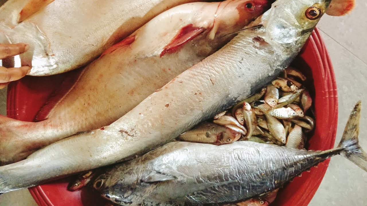 সামুদ্রিক টুনা মাছ কাটার কৌশল দেখুন 🦈🐠 