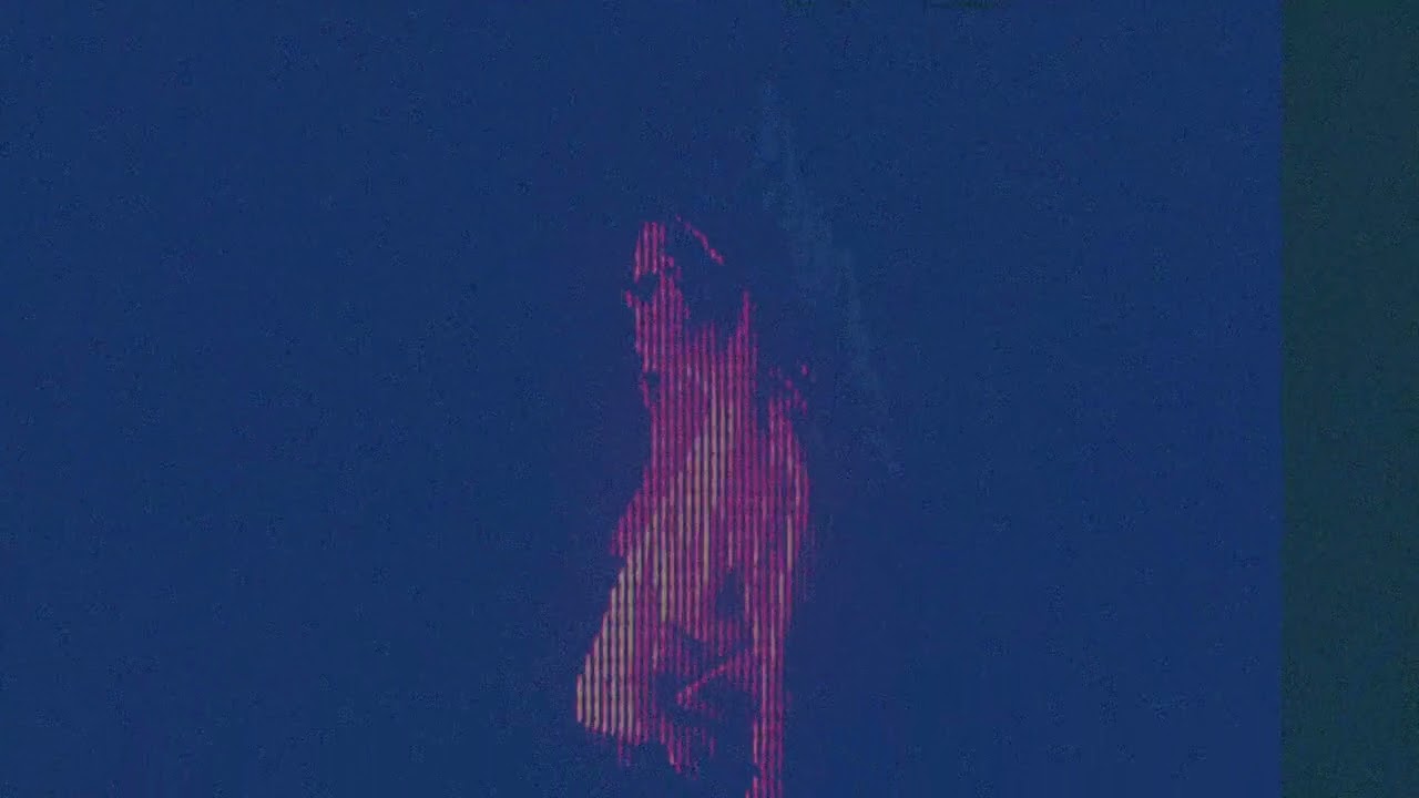 TORRES - I got the fear (Official Music Video)