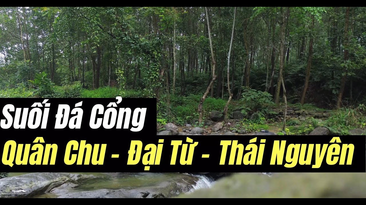 Khám phá Suối Đá Cổng - Thái Nguyên (Flycam 4K)