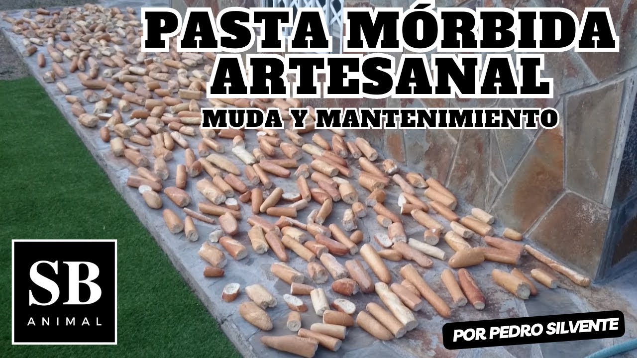 Pasta Mórbida Artesanal de Muda y Mantenimiento