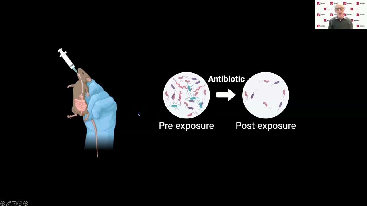 Autism-associated 16p11.2 microdeletion variant impacts: the effects of microbiota disturbances