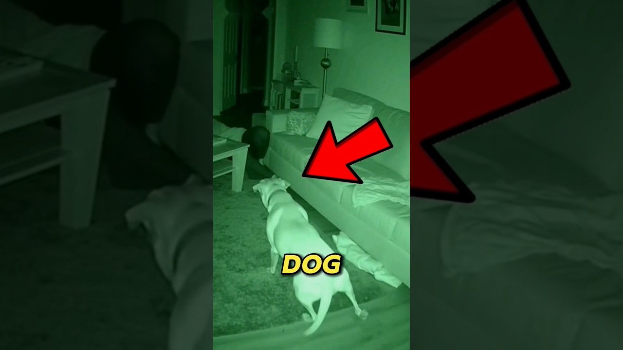The Scariest Thing Caught on CCTV 😳 #trending #viral #fyp #caughtoncamara #creepy