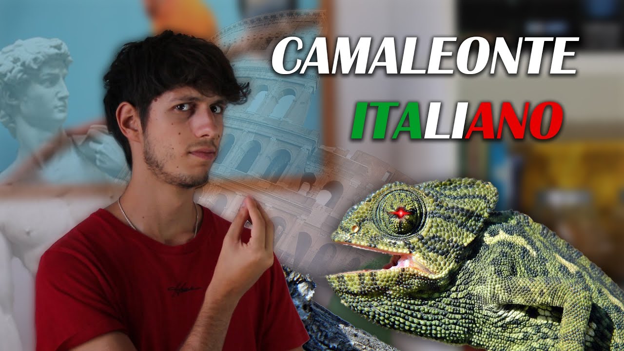 Questo CAMALEONTE vive in ITALIA  (Chamaeleo chamaeleon)
