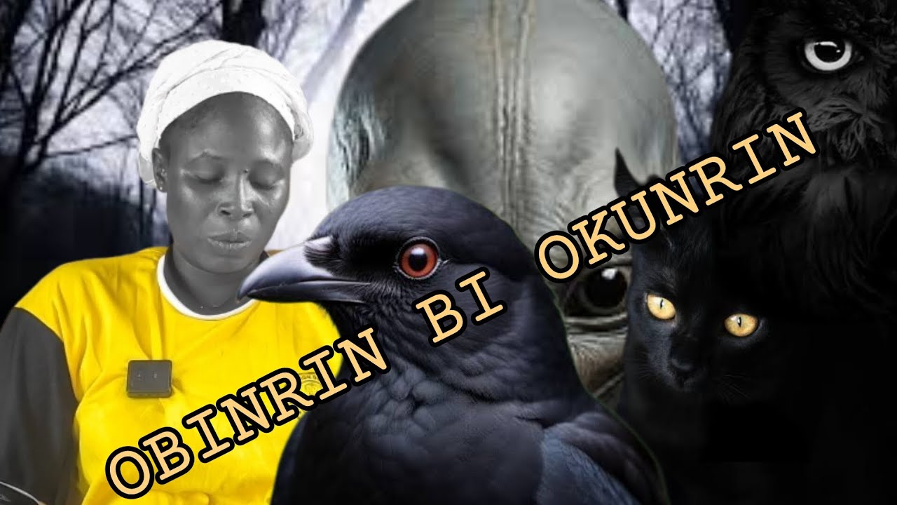 OBINRIN BI OKUNRIN...WHO IS BABA ALAWO INFORNT OF THIS WOMAN...BABA ALAWO TI O BA LAYA KIO JADE...