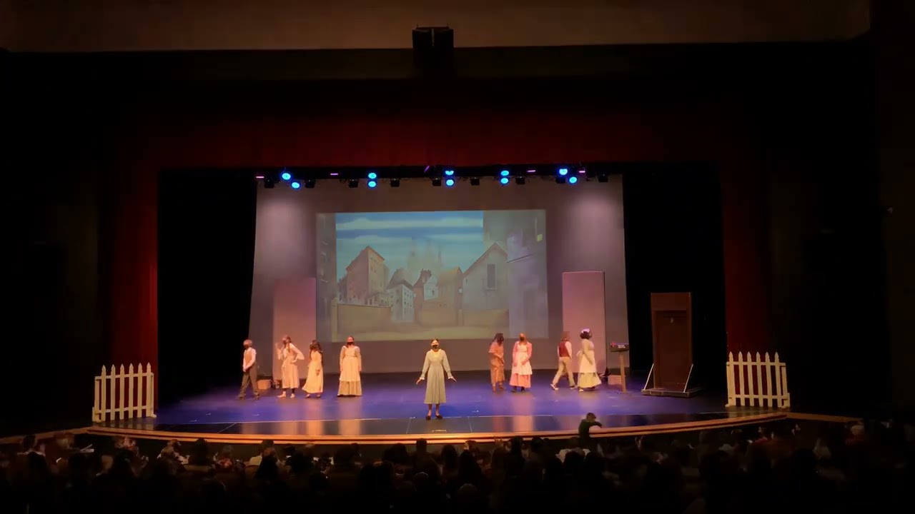 Dr Dolittle Jr Play
