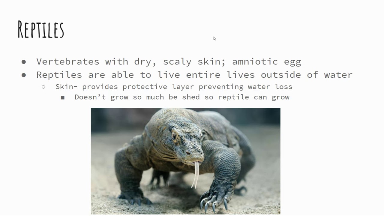 Agribiology: Unit 5 LT 16-20: Amphibians and Reptiles