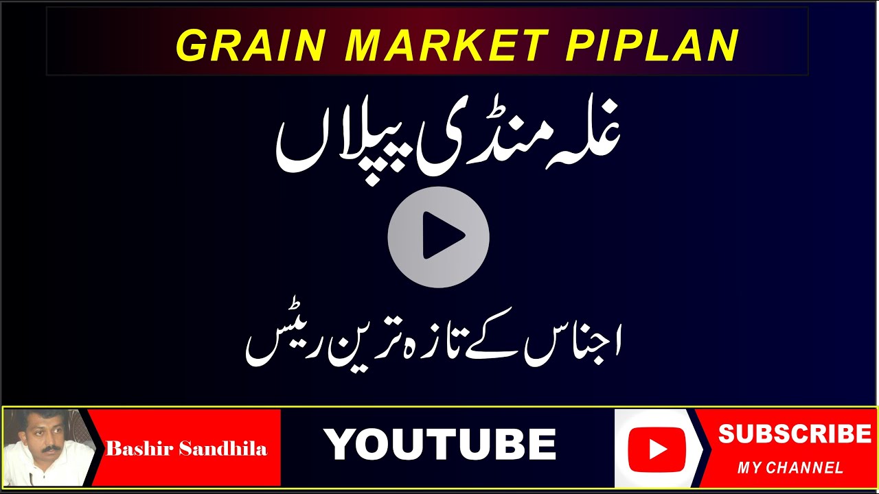 Ghala Mandi Piplan ll زرعی اجناس کا ریٹس ll Bashir Sandhila