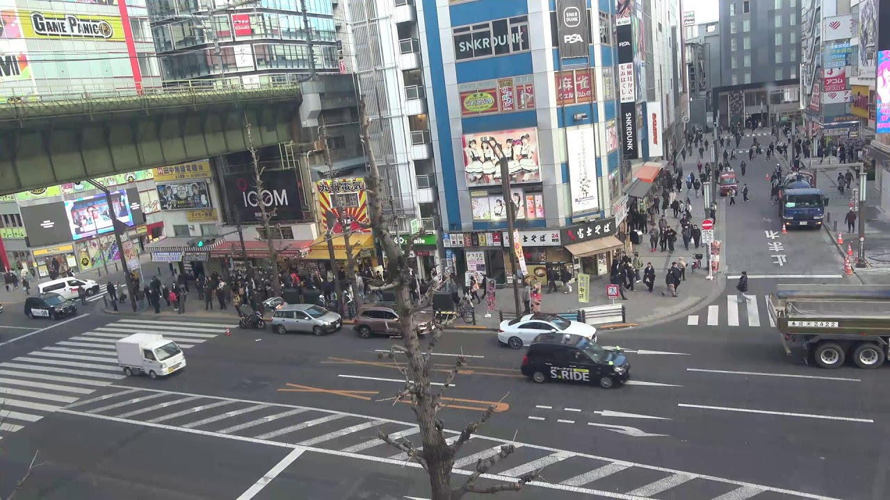 オノデンch【秋葉原ライブカメラ　Akihabara live camera】