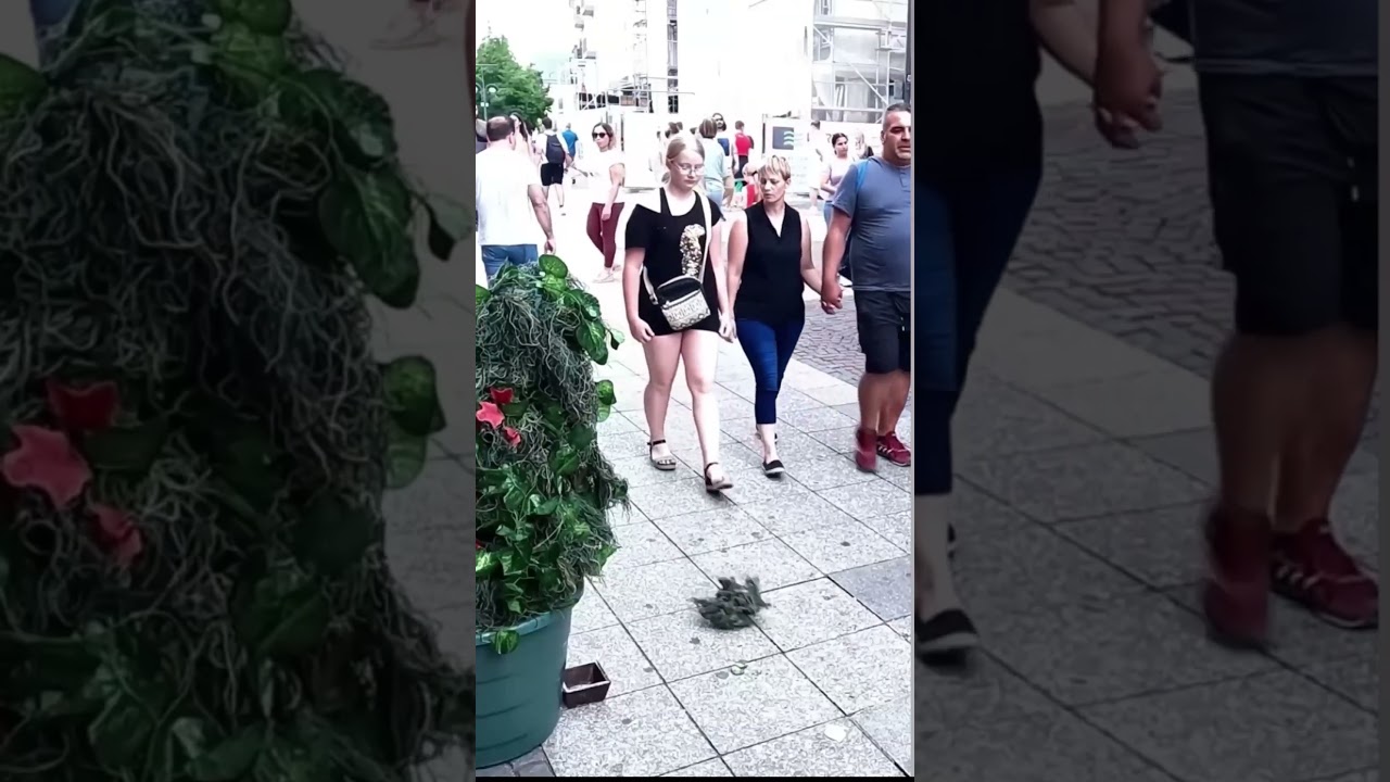 Street Prank Goes Hilariously Wrong in City Center