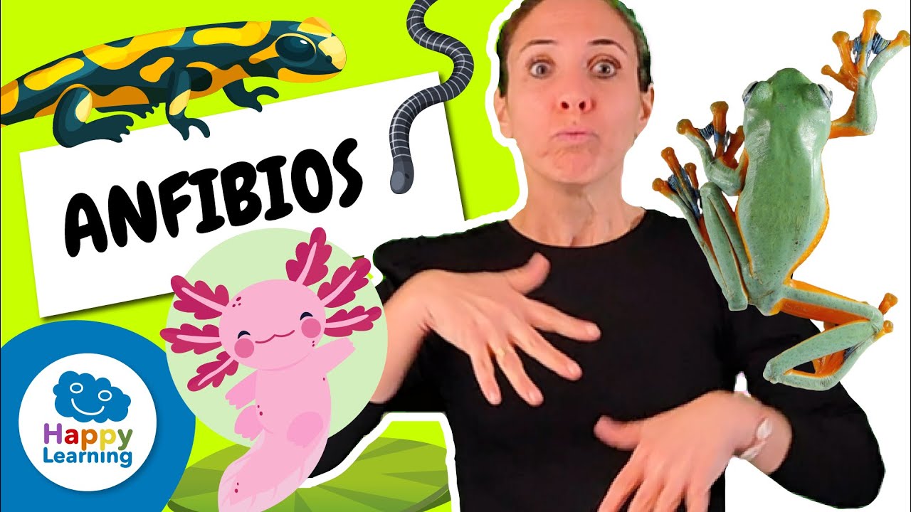 🐸 ¡Descubre las Fascinantes Curiosidades de los Anfibios! 🐸✨ | LENGUA DE SIGNOS | @HappyLearningES