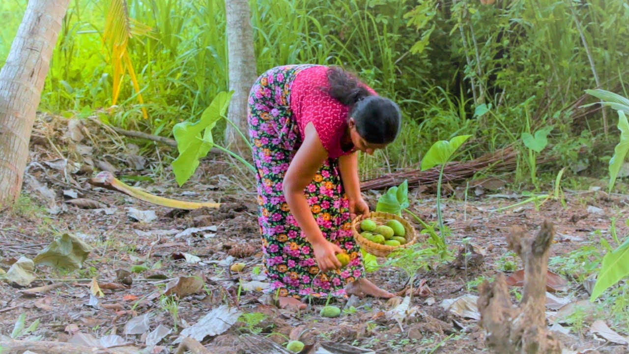 Amazing day life - village Mango recipe || srilankan village food| mali cooking