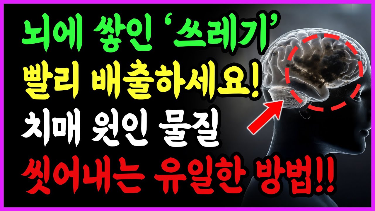 뇌에 쌓인 ‘쓰레기’ 최고의 청소법을 알려드립니다 | 시니어건강 | 노년건강 |