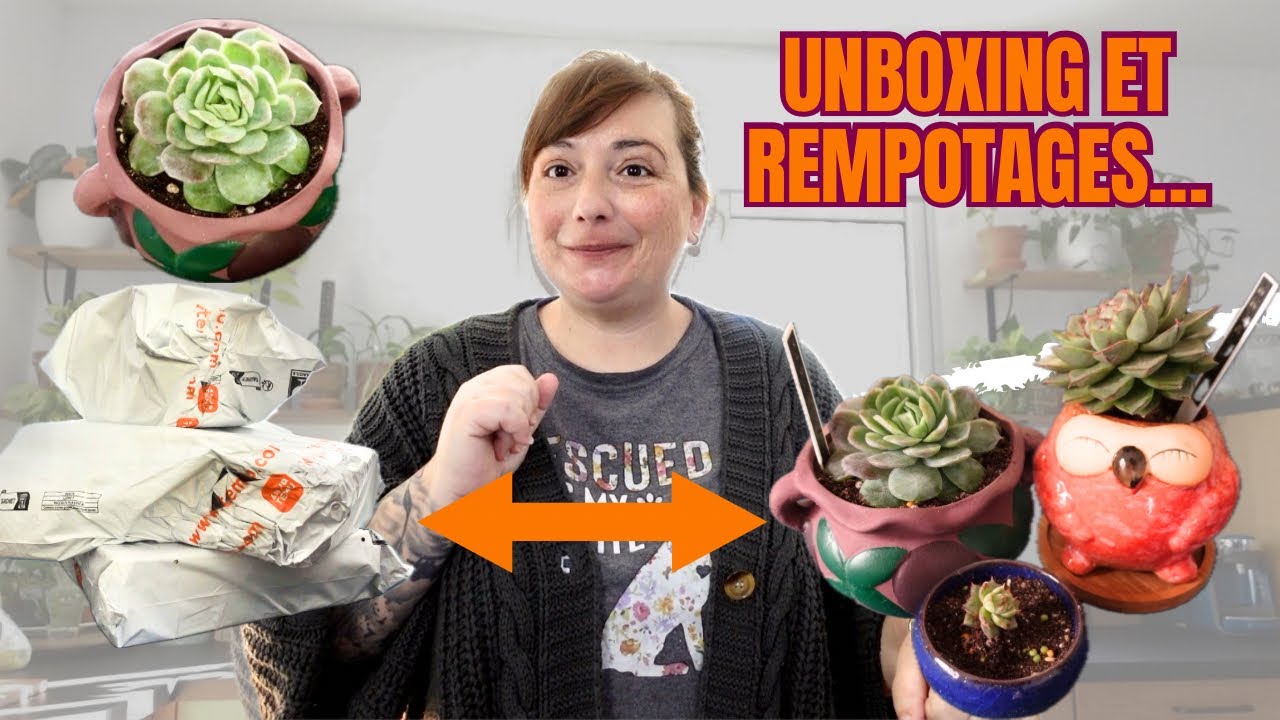 TEMU | Big Unboxing et Rempotages!!! | De magnifiques pots et des plantes heureuses | Le P J de Bob