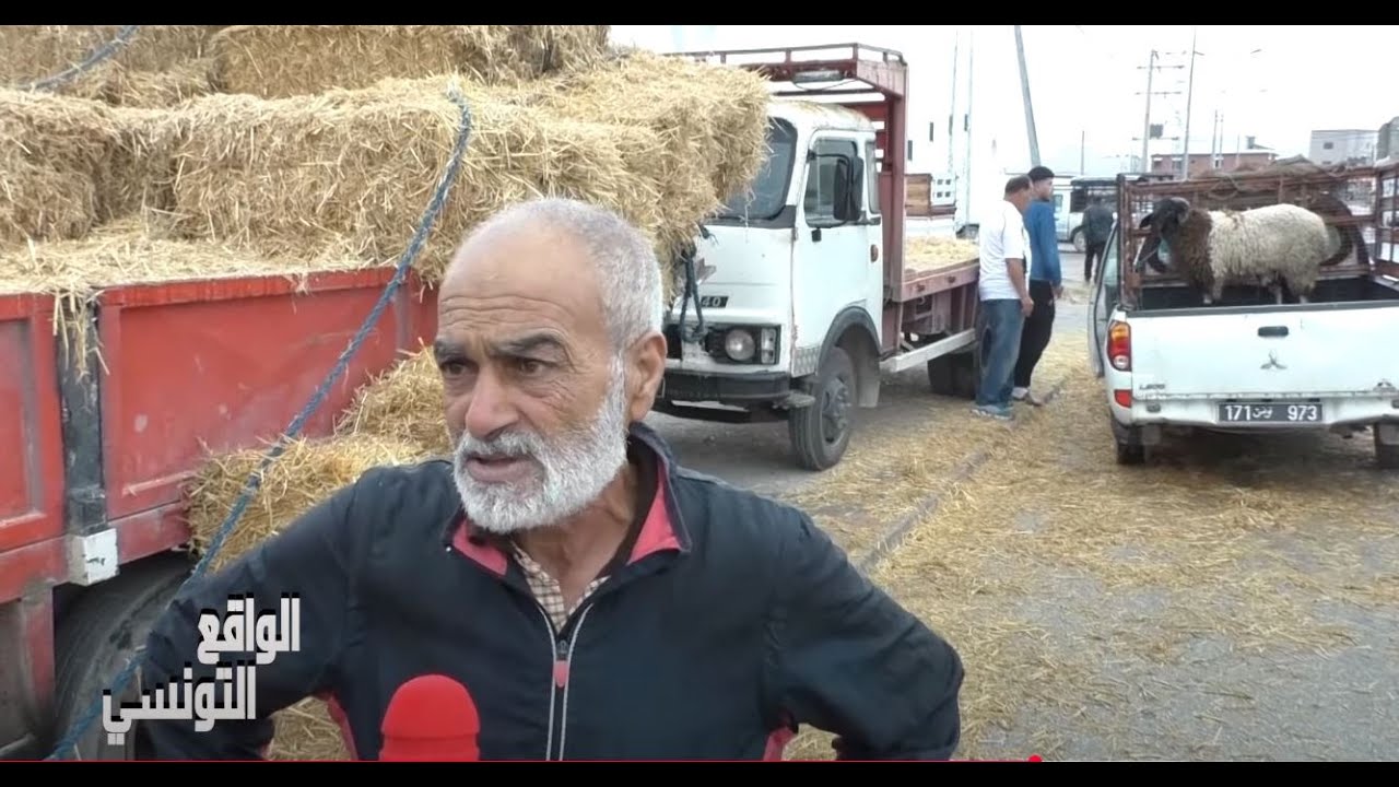 جولة في الرحبة العلوش 🐑🐑العام صابة القرط رخيص ب6 دنانير