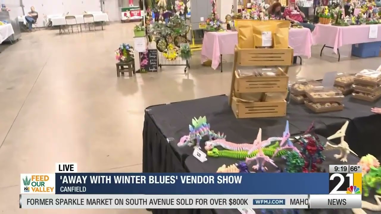 'Away with Winter Blues' vendor show in Canfield 1