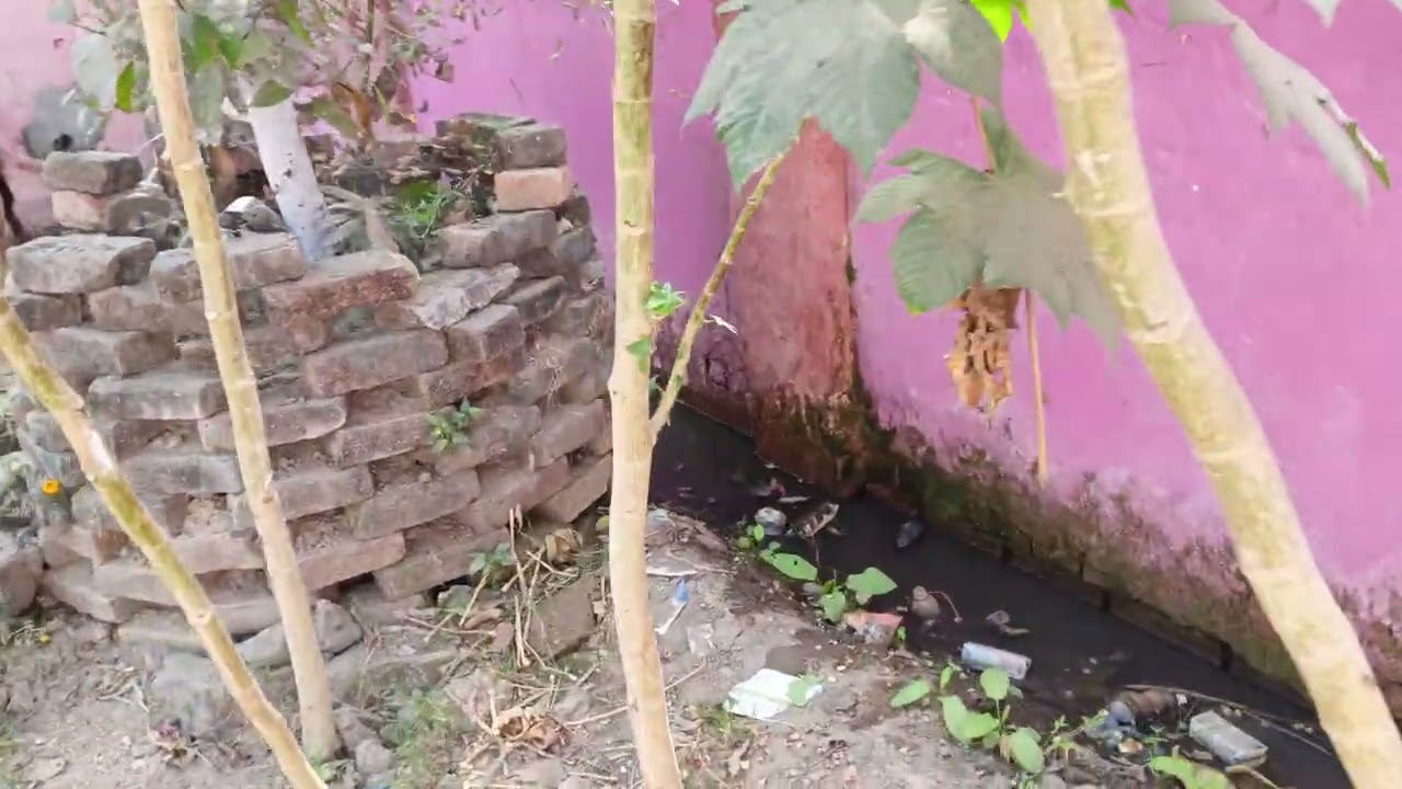 #video । रियासत पवई (नली शिकायत )😎😎 । हमारा गाँव के (मुखिया) :- श्री भूषण प्रसाद है ।