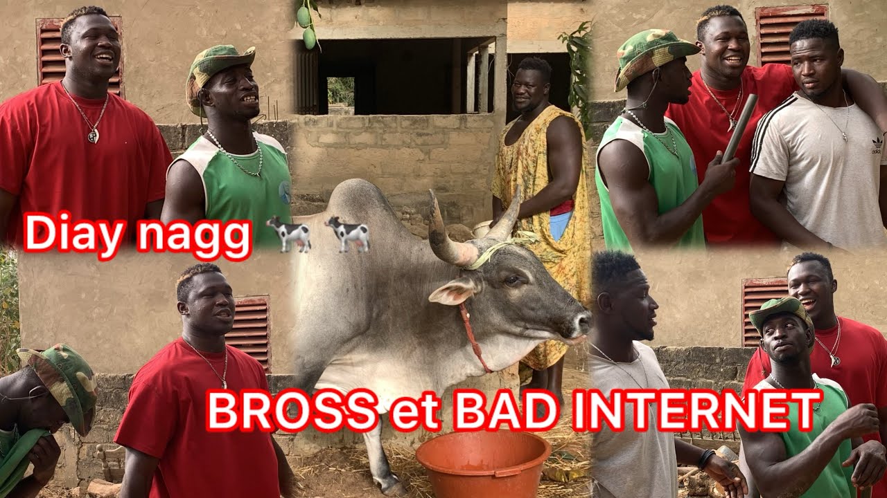 Yendou ack diay nagg 🐄 BROSS, BADARA INTERNET et le VILLAGE complicité bou graaw😁😁BROSS da naayy