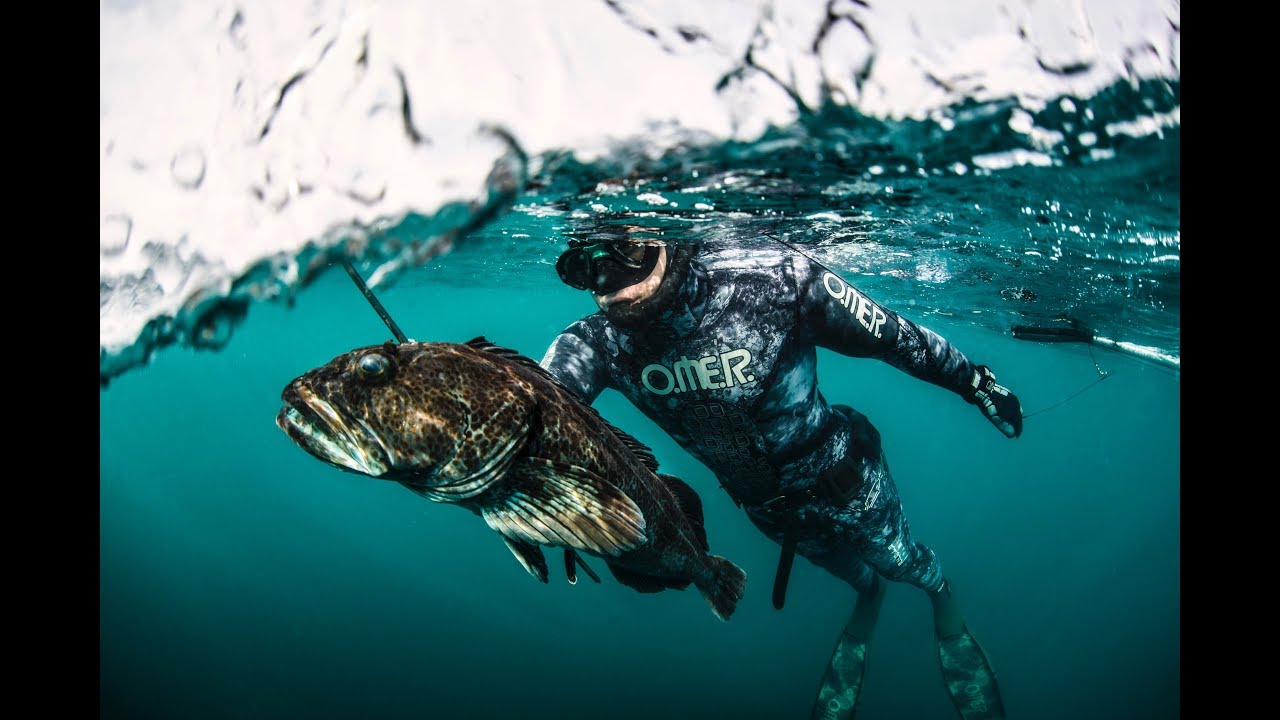 California Spearfishing by Dan Silveira - Omer Spearguns .m4v