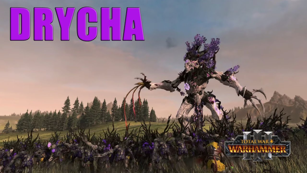 Immortal Empires - Drycha - Début de campagne légendaire (Tour 1 à 10)