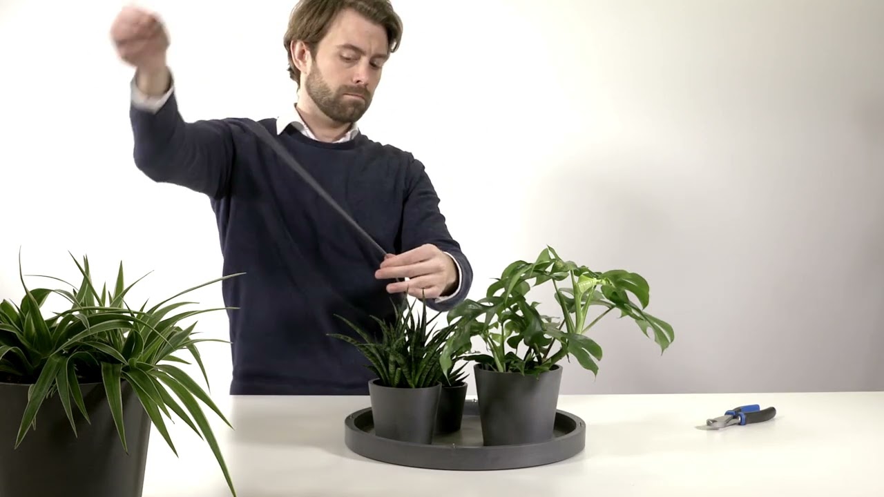 Ecopots hanging products