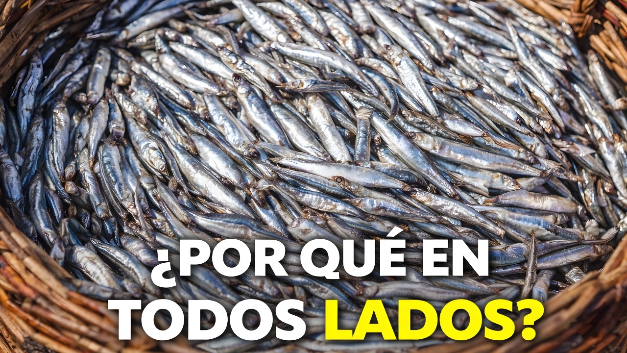 ¿Qué Son EXACTAMENTE las Anchoas? (Y Por Qué Están en Todas Partes)