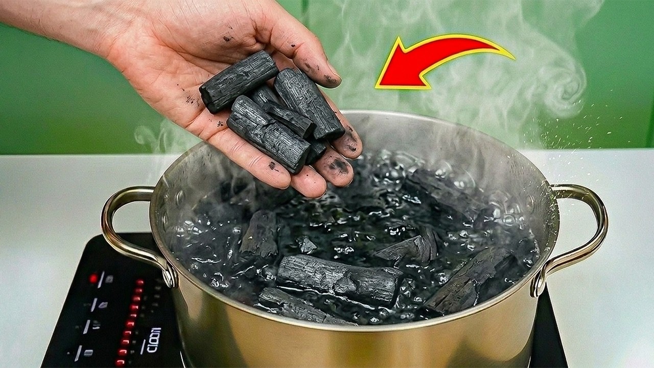 Billions of people don't know this secret! Boil charcoal and make money!