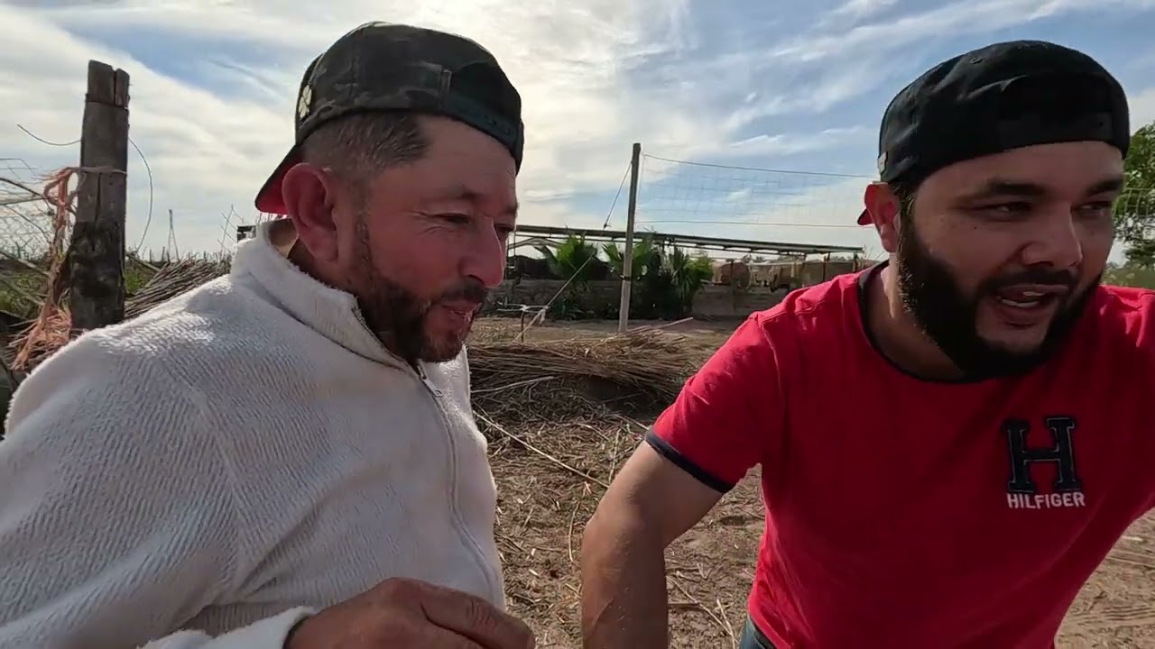 Quería sorprender a el patas cortas con esta broma y el sorprendido fui yo