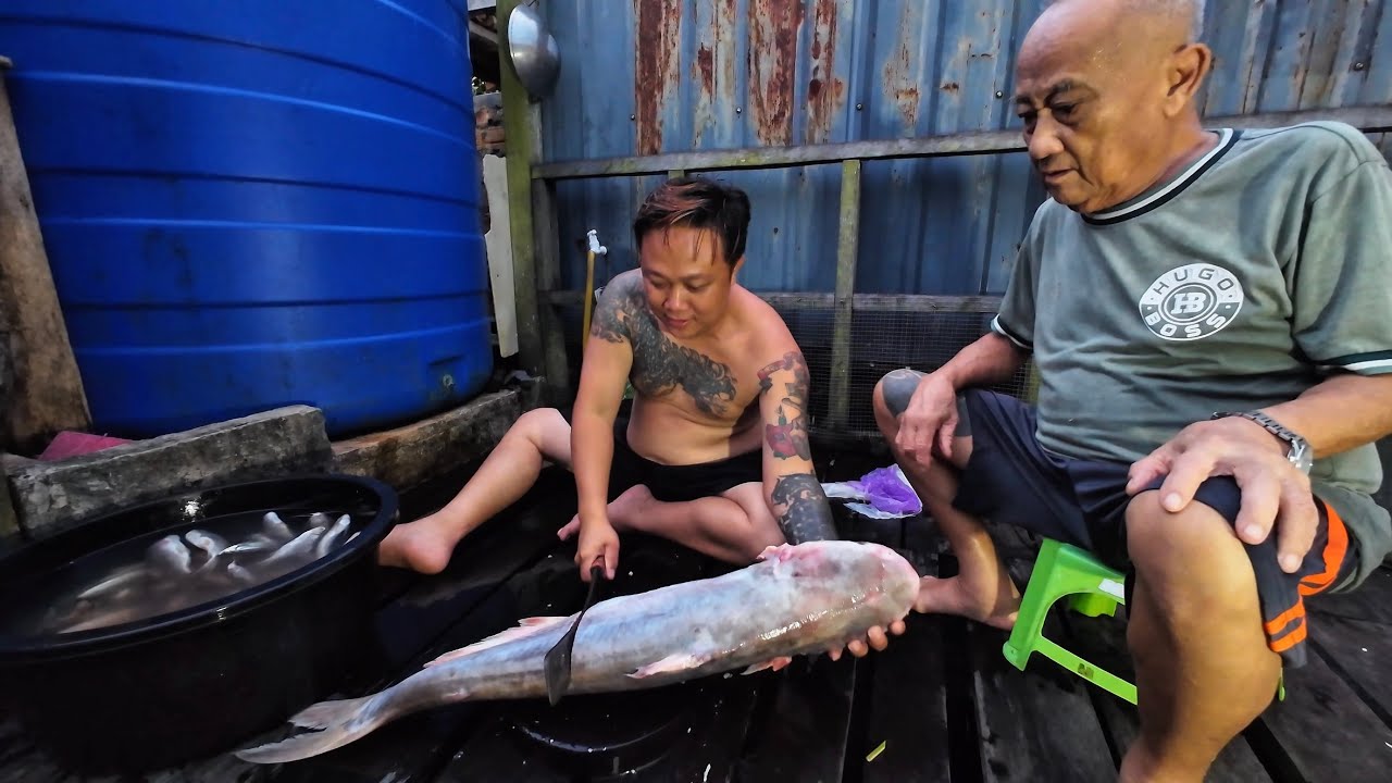 TETAMU DARI BAKUN DATANG RUMAH BAWA IKAN LABANG // MASAK SPECIAL UNTUK TETAMU // 