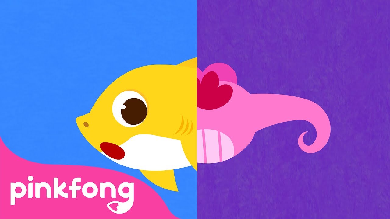 Voc&ecirc; Viu a Cauda do Tubar&atilde;o? | Cante junto com o Beb&ecirc; Tubar&atilde;o | Pinkfong Can&ccedil;&otilde;es para Crian&ccedil;as